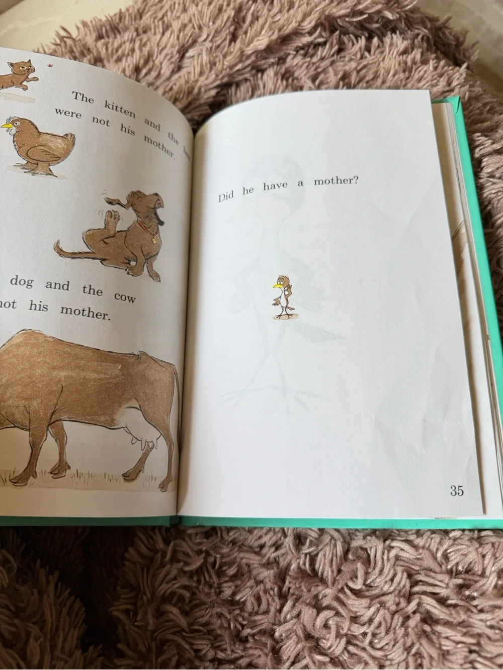 Vintage 1960 Dr. Seuss Are You my mother by PD Eastman